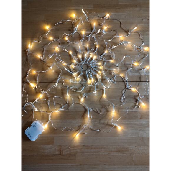 Plow & Hearth Other - Plow & Hearth Indoor/Outdoor Lighted Spider Web